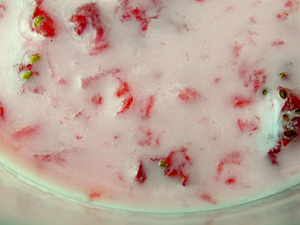 Ichigo Miruku - Strawberry Milk